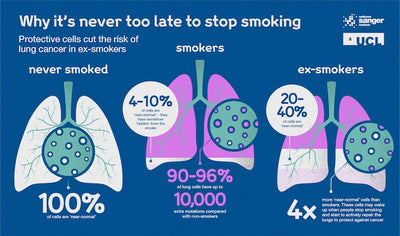 Never Too Late: New Study Finds Lungs ‘Magically’ Repair Themselves After Quitting Smoking, No Matter the Age